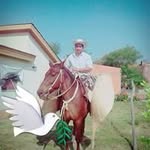 Bazan Abel - @bazan.abel - Instagram