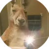 call of duty - @abel.bazan49 - TikTok
