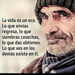 abel Belmonte - @abelbelmonte - Instagram