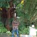 Abel Benjamin - Facebook