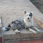 @abel_morcillo_bermejo - Instagram