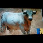 Abel Rodriguez Bermejo - @abelrodriguezbermejo - Instagram