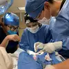 Abel Bernal - @abel.bernal8 - TikTok