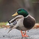 Blake Abel - @blake_abel_photography - Instagram
