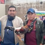 Abel Blas - @santosabelblasabanto - Instagram