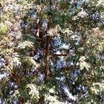 Abel Boaz - @abel.boaz.75 - Instagram