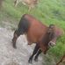 Jose Abel Bocanegra Prieto - Facebook