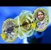 Huitman Abel Garcia Borja - Facebook