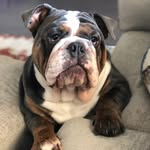 Abel - @abel_boyd - Instagram