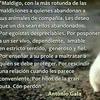 Jesabel Boyer Voytu - @jesabel.boyer.voy - TikTok