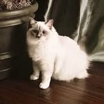 A - @abel_bruce_wilbur - Instagram