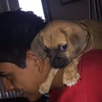 Abel - @abel_bruce1 - Instagram