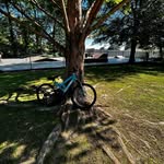 Abel bruce - @abelbruce40 - Instagram