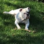 Abel Bustillos - @bustillos13857 - Instagram