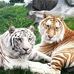 Abel Cadena - Facebook