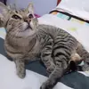 user7310455668767 - @abelen_cadena - TikTok