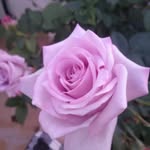 Abel Cain Rodriguez Rodriguez - @abelcainrodriguez - Instagram