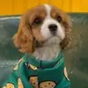 Isabel_Calixto13 - @isabel_calixto13 - TikTok