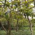 Abel Camargo - Facebook