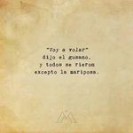 Abel Camilo - @abel.camilo.524 - Instagram