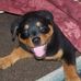 Abel Campbell - Facebook
