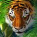 Abel Carmona - Facebook
