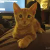 Abel_Casarez - @life_4_abel - TikTok