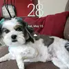 Abel Castaneda - @abelcastaneda7 - TikTok