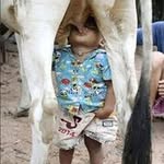 Abel Flores Cavada - @florescavada - Instagram