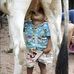 Abel Flores Cavada - Facebook