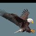 Abel Cedillo - Facebook