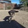 Abel Ceja - @abelceja3 - TikTok