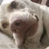 Abel Centeno - @abelcenteno24 - TikTok