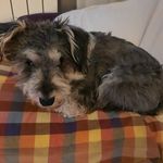Abel Jaime Velez Centeno - @abeljaimev - Instagram