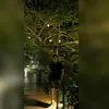 abelcenteno641 - @abelcenteno641 - TikTok