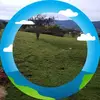 Abel Cerda - @abel.cerda0 - TikTok