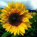 Abel Cerritos - Facebook