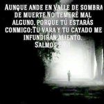 Abel Carlos Chaparro - @abelcarloschaparro - Instagram