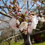 Abel Chong - @abel.chong - Instagram