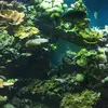 abelchong475 - @abelchong475 - TikTok