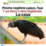Chong Abel - @abelchong584 - Instagram