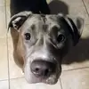 Abel Cota cruz - @abel.cota.cruz - TikTok