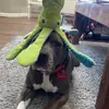 Abel_baby - @abel.babycrawford - TikTok