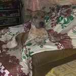 Abel Panlilio Dizon - @abeldizon - Instagram