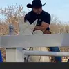 Abel Figueroa - @abel.figueroa52 - TikTok