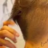 Abel_fontes - @abel_fontess - TikTok