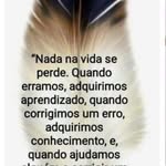 José Abel Arsénio de Fontes Pe - @joseabelarseniodefontespe - Instagram