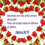 Teresa Guardado - @abel.guardado.750 - Instagram