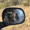 Isabel Harris - @isabelharris0 - TikTok