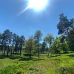 Abel Hox - @abelhox - Instagram